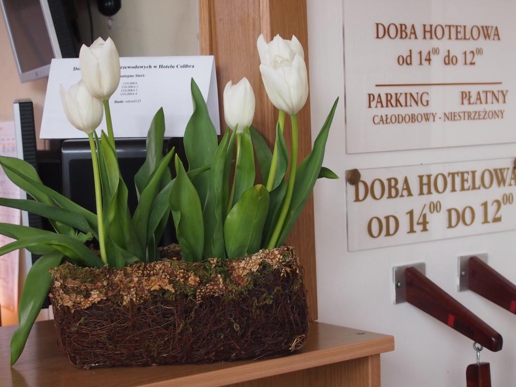 Hotel Colibra วอร์ซอ ภายนอก รูปภาพ